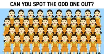 Spot the Odd One in 15 Pictures and See How Attentive You Are