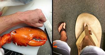 19 Photos That Show Even Ordinary Things Can Reach Unimaginable Sizes