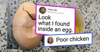 19 People Who Discovered Something Unexpected Inside of an Ordinary Thing