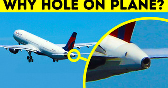 Planes Have a Secret Engine + 10 Cool Facts About Transportation