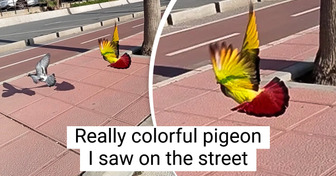 19 People Who Saw Something Special in Everyday Life