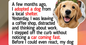 The Dog I Adopted From a Local Shelter Ended Up Saving My Life
