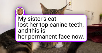 13 Fluffballs Who Had No Idea They Were Creating a Masterpiece
