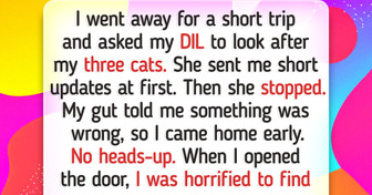I Trusted My DIL to Watch My Cats for a Week—And I Came Home to a Heartbreak