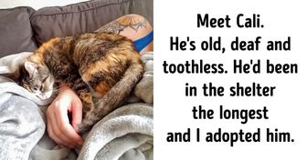 23 Stories About Pets Full of Love and Drama