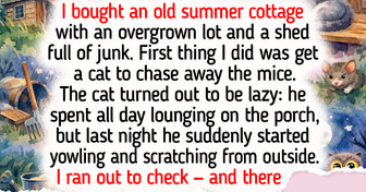 15 Animal Stories That Teach Us Kindness, Loyalty and Compassion Have No Species Requirement