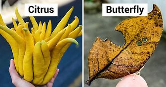 22 Pictures That Show Nature Is Nothing More Than a Creative Lab