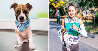 A Woman Rescues a Lost Puppy During 26 Miles Marathon, and It Turned Their Lives Around