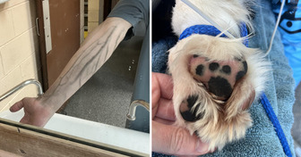 15+ Photos That Show How Strange Reality Can Be
