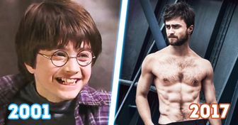 A Fascinating Look at the Stars of Harry Potter 16 Years Later