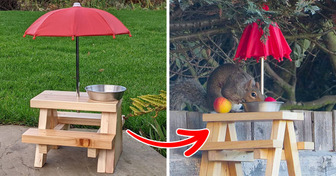 10 Feeders From Amazon That’ll Make You Feel Like You’re Living in a Disney Movie