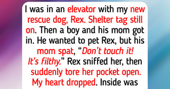 10 Powerful Moments When Animal Compassion and Love Changed a Human Life