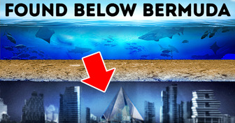 What Exactly Lies Under Bermuda Triangle