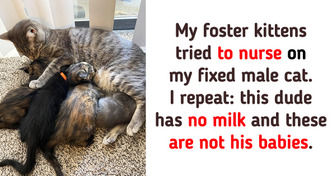 20+ Photos That Are Bursting With Happy Hormones
