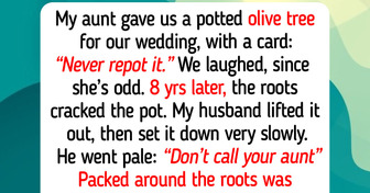 10 Real Garden Hobby Stories Where Happiness Grew From a Sealed Metal Box and an Olive Tree That Hid Money for Years