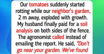 12 Garden Hobby Stories Where Every Lavender Bed, Tomato Vine, and Wildflower Patch Grows Kindness and Happiness
