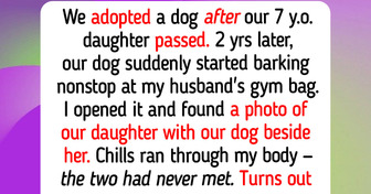 11 Real Animal Moments That Prove Rescue Dogs and Cats Still Guide People to Happiness, Even in 2026