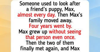 9 Dog Reunions After Years Apart, Including Why Dogs Remember the Scent of Their People