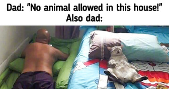 24 Photos That Show How Pets Steal Even the Hardest Hearts