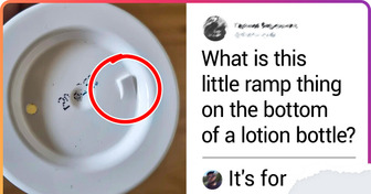 People Were Stumped by 10 Odd Things They Saw, but the Internet Had the Answers