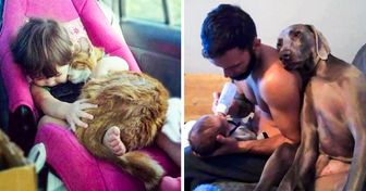 17 Pictures of Animals and Their Hoomans That Burst Our Cute-O-Meters