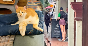 15 Confusing Pictures That Prove Perspective Is Everything