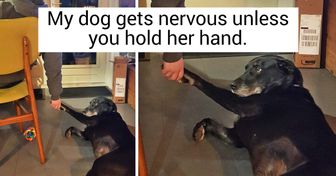 15+ Pics That Prove, Once Again, How Pure a Pet’s Love Is