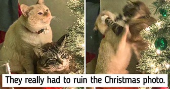 20+ Unapologetic Pets Who Can Be Total Derps
