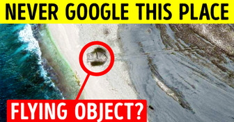 Bizarre ’Something’ with a Long Trail Spotted on a Deserted Island