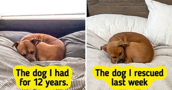 15 Pictures Guaranteed to Make You Feel All Smiles