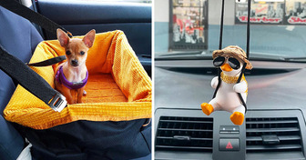 12 Items That’ll Turn Any Car Ride Into a True Pleasure