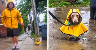 10+ People Who Went the Extra Mile for Their Pets