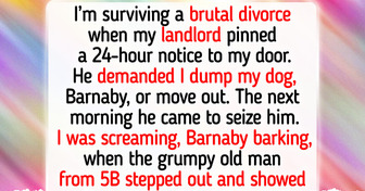 12 Moments That Show Quiet Kindness Can Defeat Life’s Hardest Trials