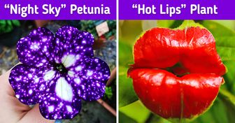 16 Magical Plants That Would Fit Perfectly Into a Fairy World
