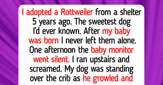 12 Moments That Teach Us How Pets Heal Our Hearts Without a Word