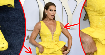 Brooke Shields Stole the Show on the Red Carpet, but Many People Noticed Some Odd Details