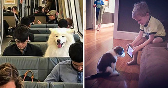 18 Times Animals Decided They Need to Act More Human-like