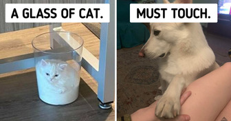 20+ Pics That Can Warm Your Heart Like a Cozy Pair of Socks