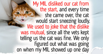9 Cat Facts That Might Change How You See Them — Even If You’ve Had One for Years