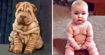 20 People Who Are Evolving Into Their Pets
