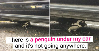 15 People Who Accidentally Found Something Unusual