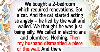 18 Pets Who Proved They Understand the World Much Better Than We Think