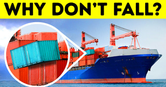 Why Shipping Containers Don’t Fall Overboard