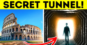 What the Backstage Area of the Colosseum Hides