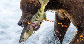 30 National Geographic Contest Photos That Show The Magnificence of Our Planet