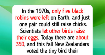 5 Birds Left, Now 350 in New Zealand: 10 Good Things That Didn’t Make the News This Year