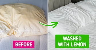 12 Tips to Clean Even What We Thought Was Beyond Salvation