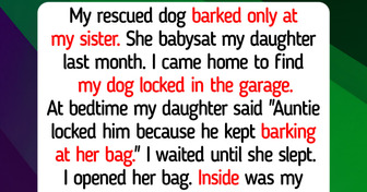 10 Animal Shelter Moments Teaching Us Compassion and Kindness Still Find Every Rescue Pet a Happy Family