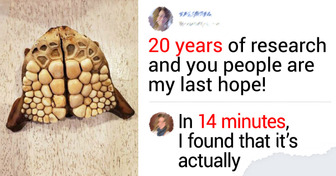 15+ Mysterious Things That Turned Out to Have Easy Answers