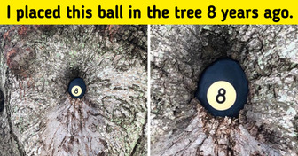 20 Rare Photos That Prove This World Is Full of Wonders (New Pics)